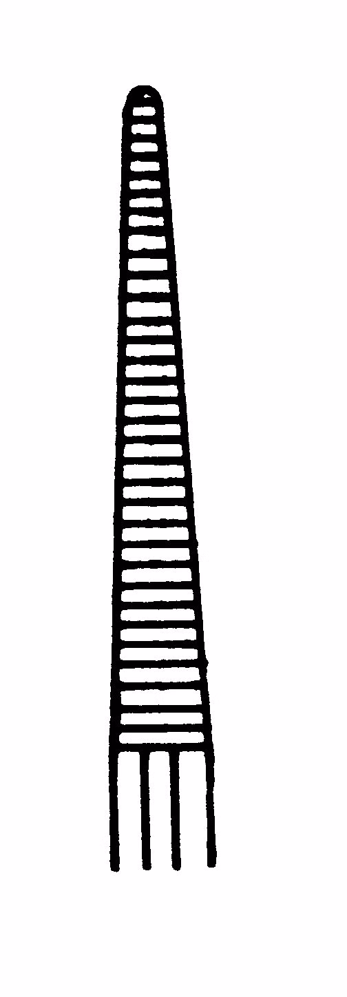 product-image-241156-NorengrosProduct-WorkingFormat.jpg
